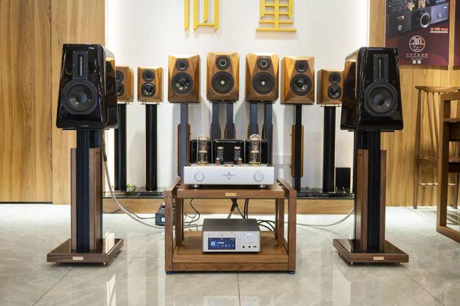 靓声也超值——高性价比立体声系统组合long8唯一中国网站【特别企划】(图13)